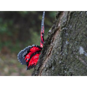 Perlemønstre - sommerfugle