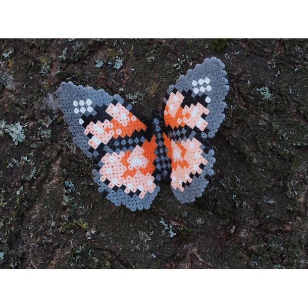 Lille sommerfugl - Orange 